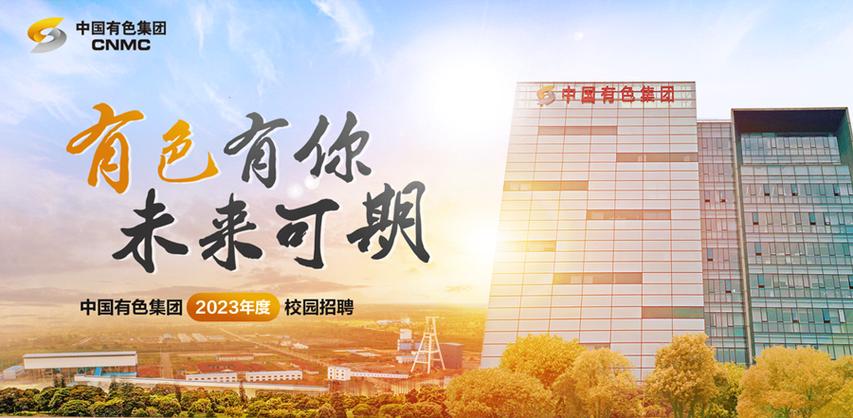 中国有色集团招聘官网截图3