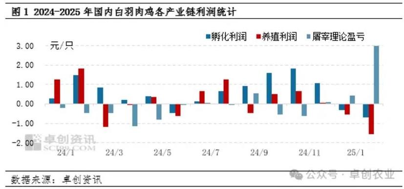 养鸡1000只利润和成本
