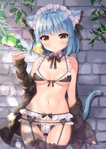 我的猫女仆下载FFhouse截图2