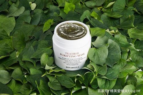 宝娜贝拉 宝娜贝拉