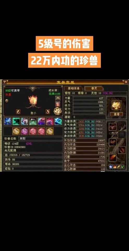 天龙八部珍兽在哪洗练