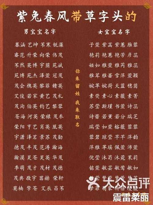男孩草字头最吉利的字