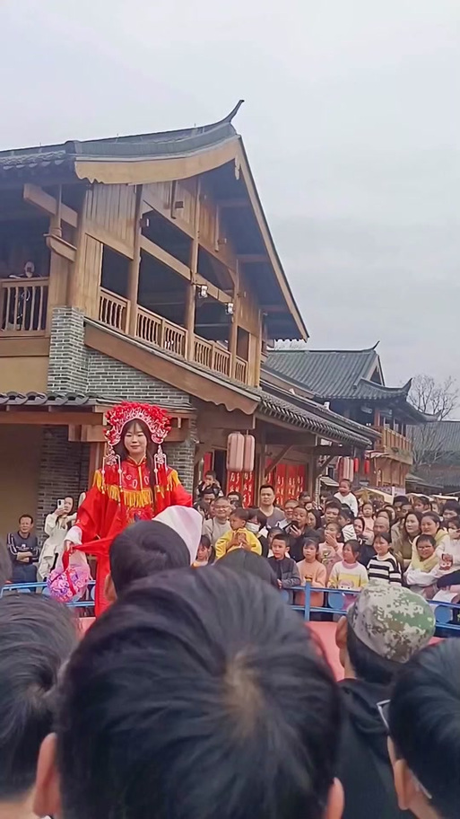 乌龟应聘龙王女婿截图3
