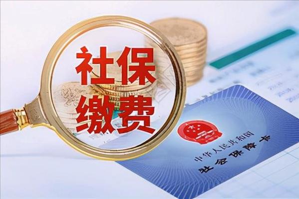 社保缴费