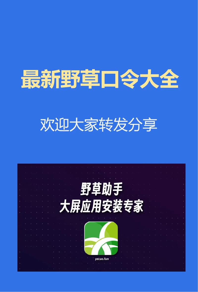 电视野草口令