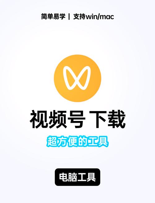网页视频探测工具