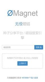 无极磁接力官网