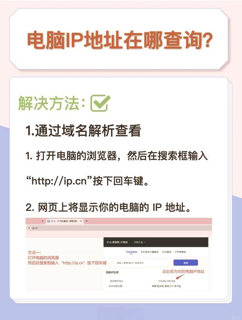 如何查询app的域名