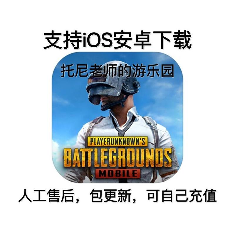 西西软件园吃鸡辅助