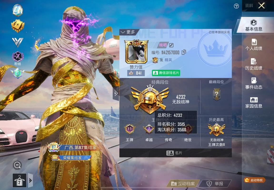 金砖弱网和平精英