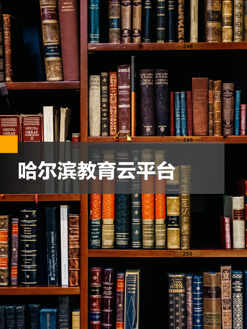 哈尔滨教育云平台电视怎么看