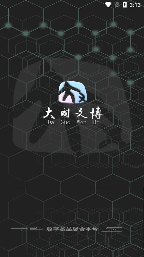 大国文博app