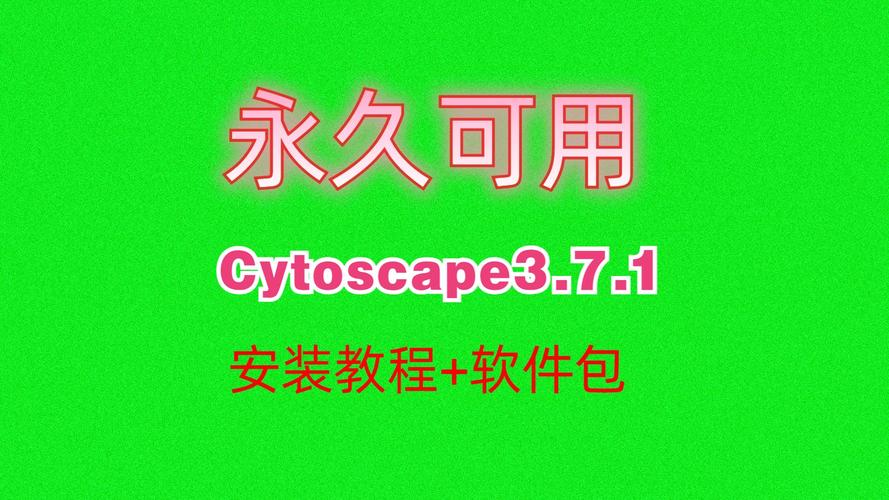 cytoid官网入口