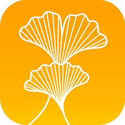 银杏网app安卓版 银杏网app安卓版