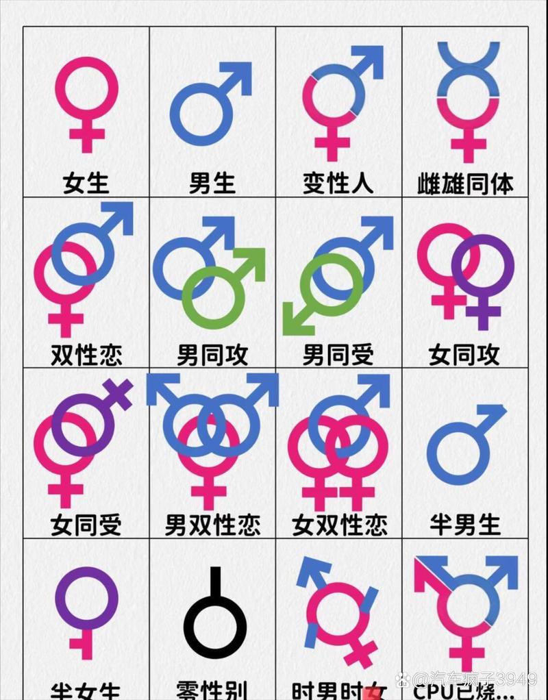 所有雌性都是我的中文版