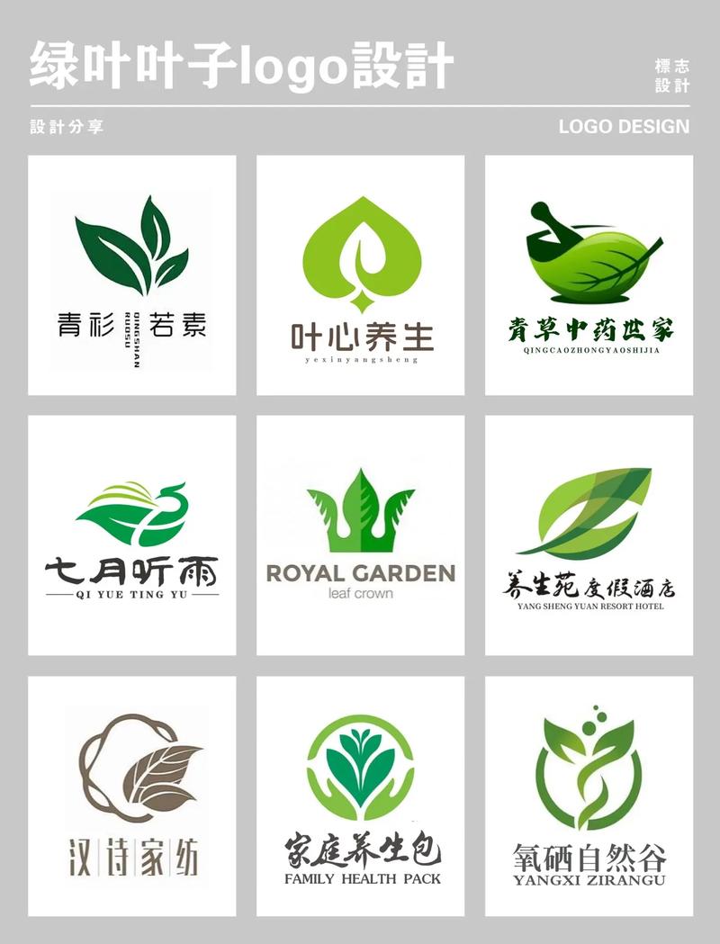 叶子短视频赚钱平台