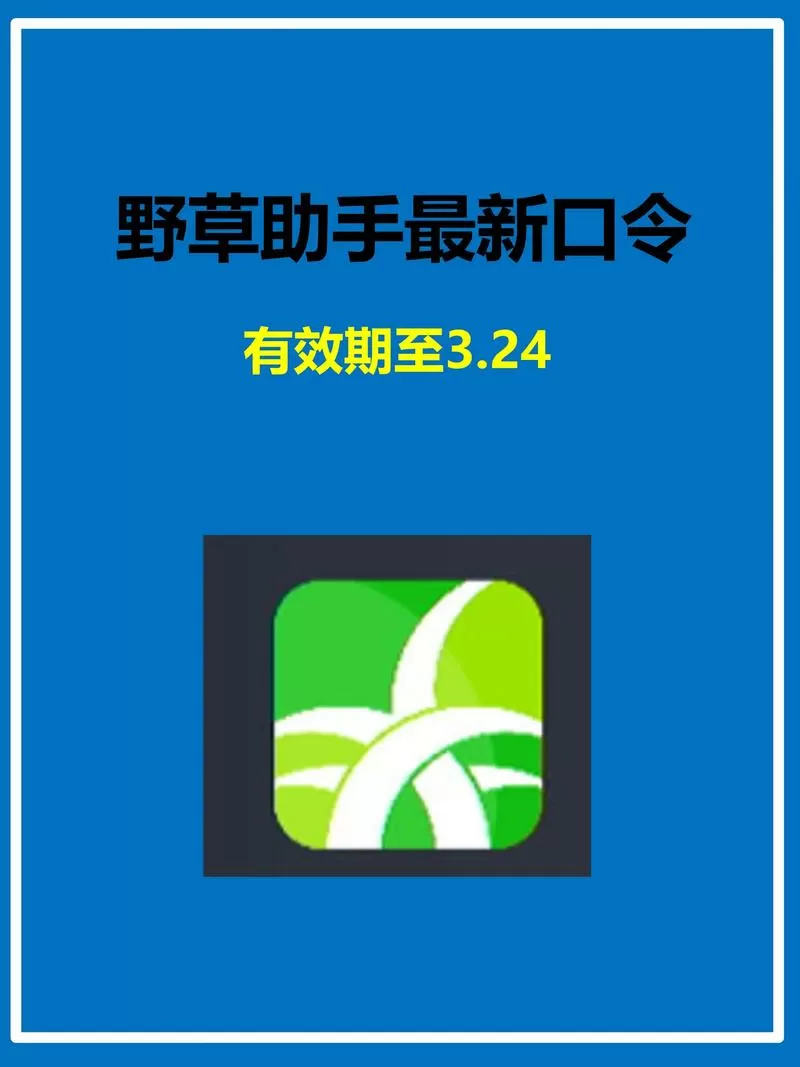 道长TV电视版野草码