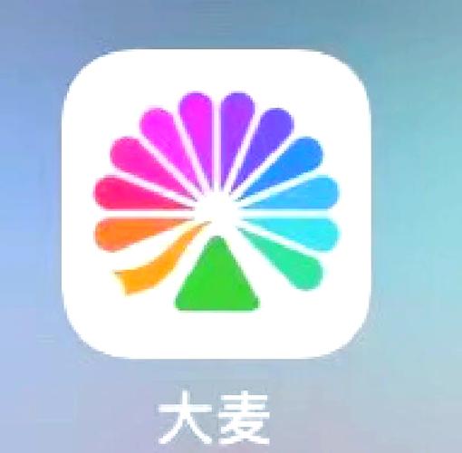 抢麦2024年免费安装全免版
