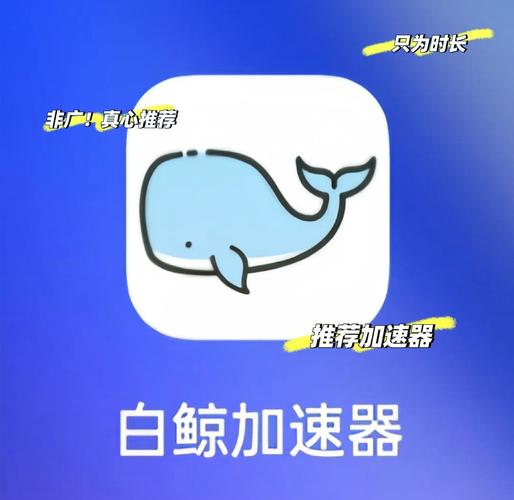 白鲸加速器2023无广告