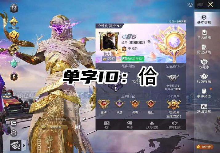 吃鸡单字id罗马音大全永久不升级