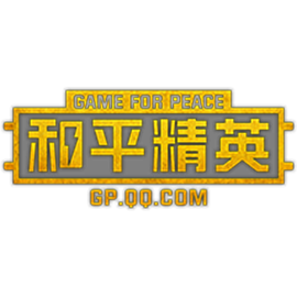 和平精英定制科技