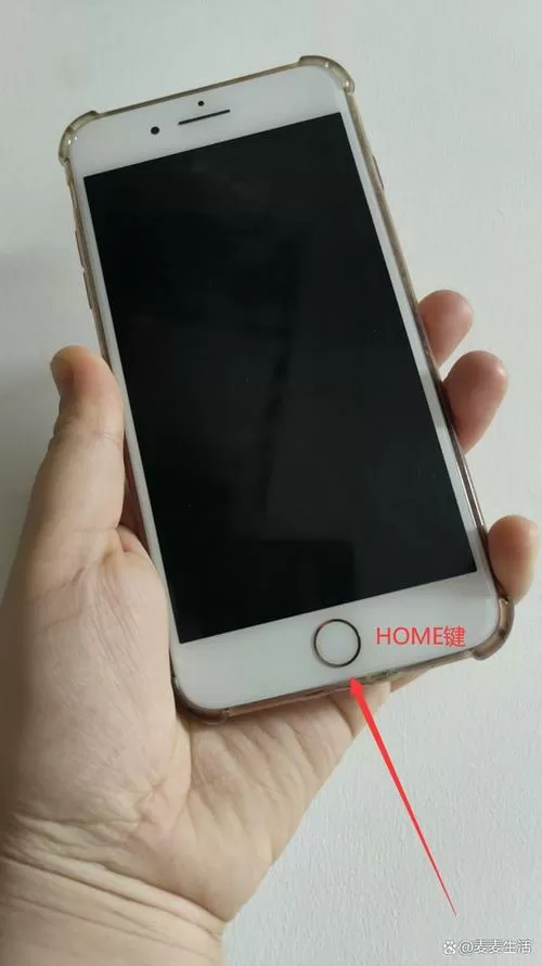 苹果手机的home键在哪