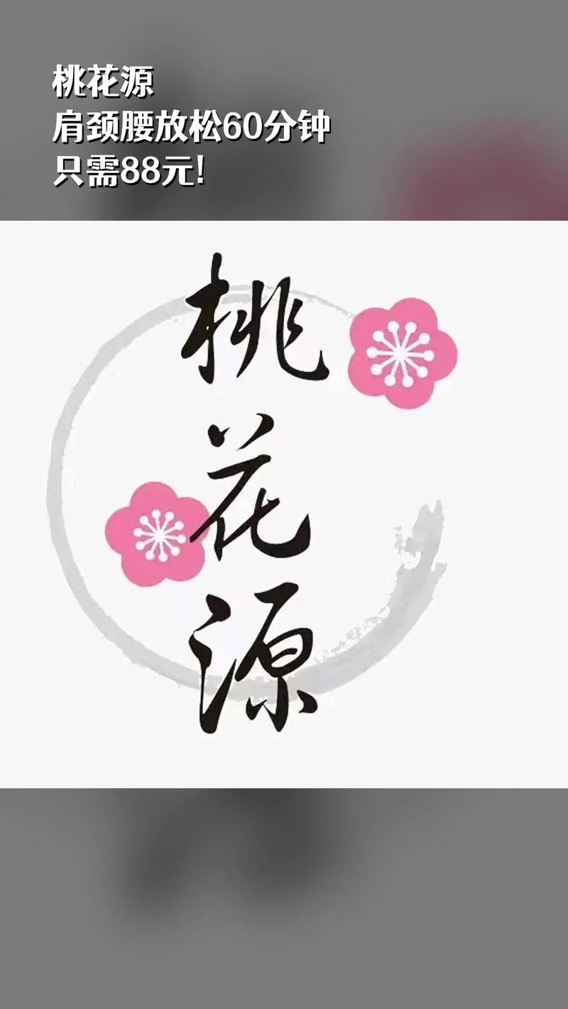 桃花源志正版 桃花源志正版