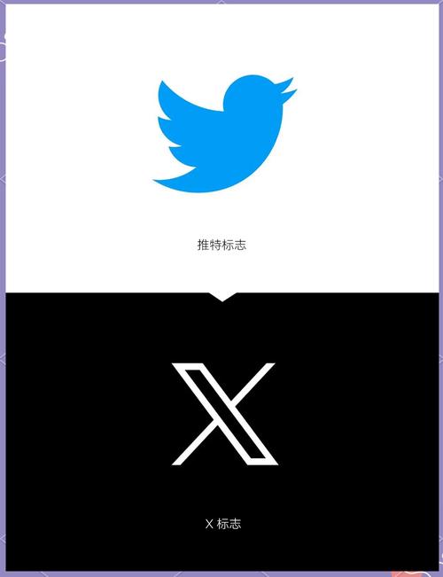 推特高危风险免费版观看