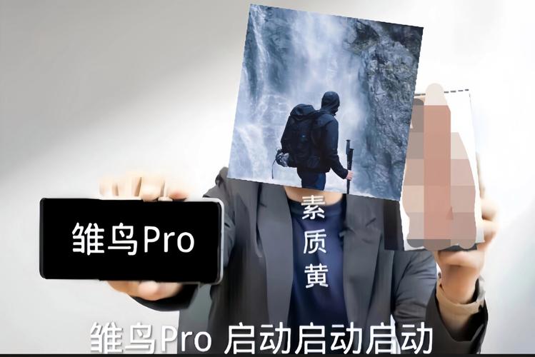 雏鸟pro短视频 雏鸟pro短视频