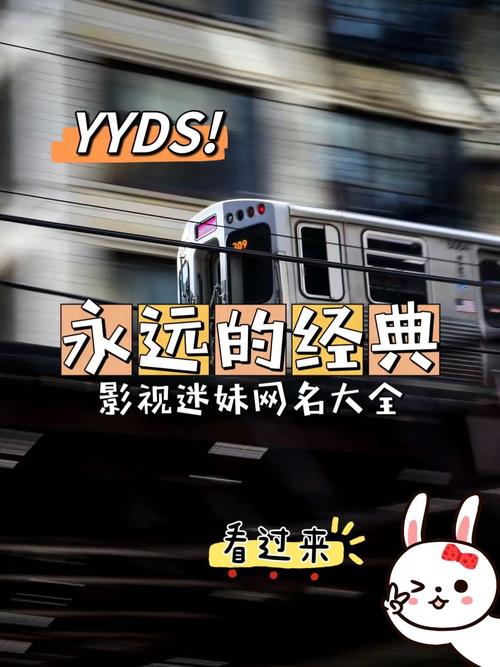 永远的经典永远的迷妹网