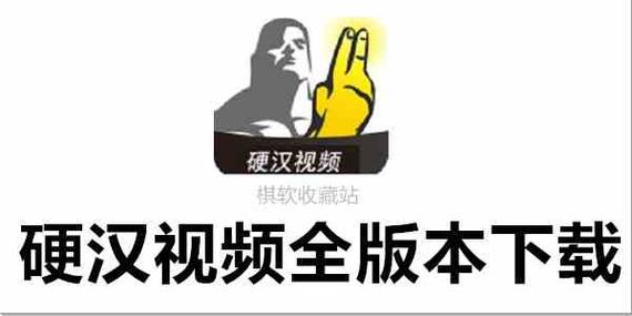 硬汉视频无限观看版app