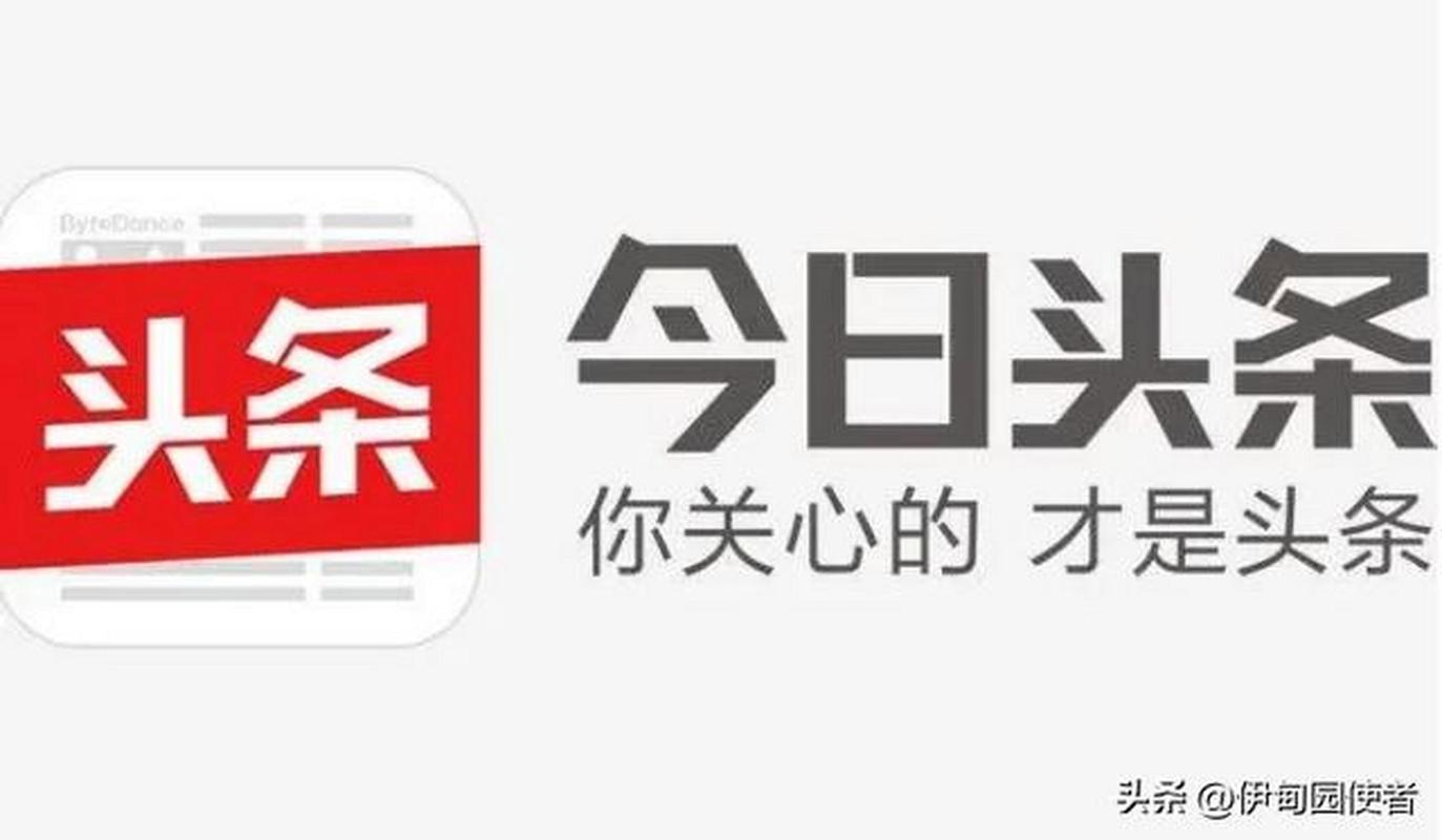 今日头条创作配图版AI安卓版