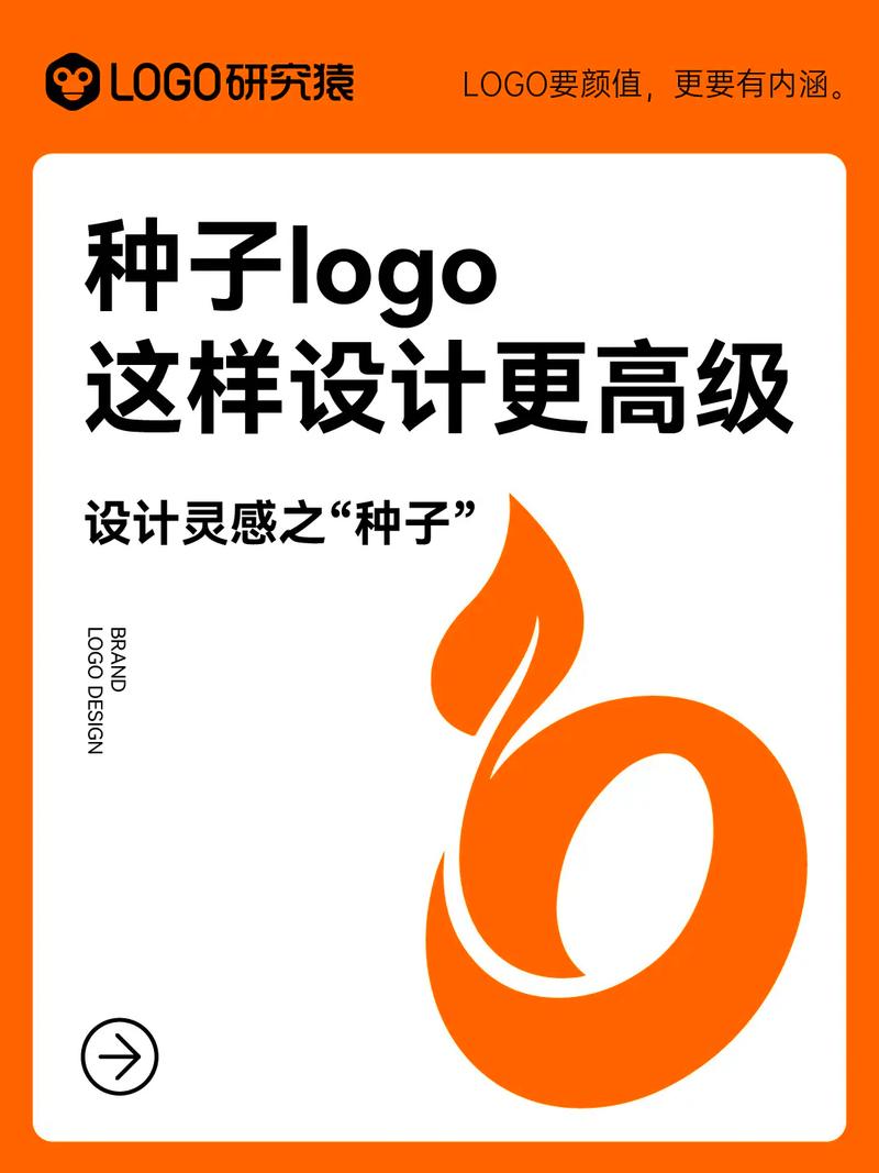 种子的结构实验视频