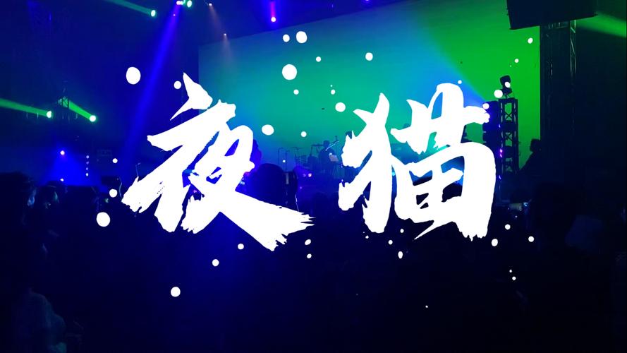 夜猫影视