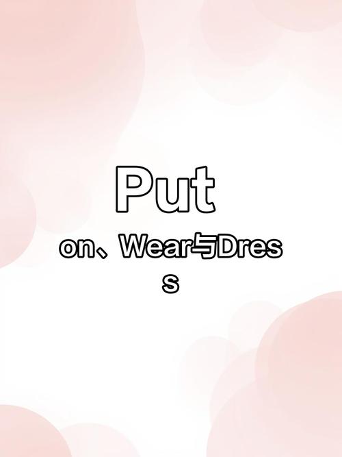 put on和put...on