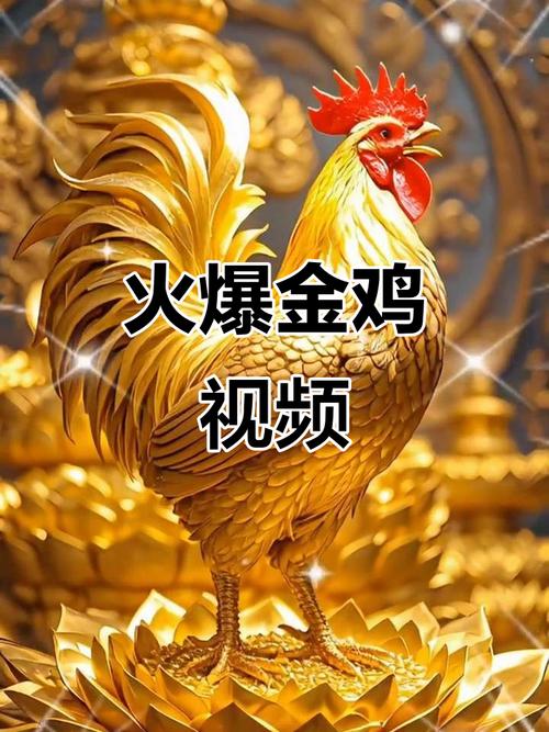 金鸡视频app官网下载企业版手机加速永久