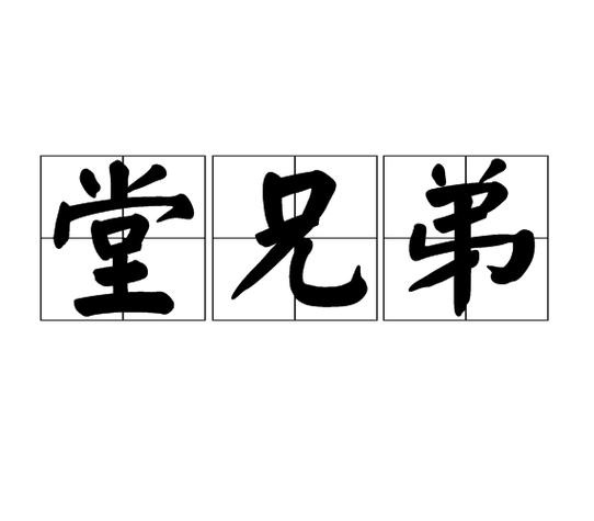 亲兄弟与堂兄弟一样吗