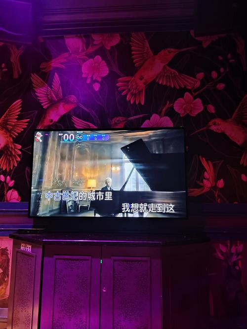 夜嗨视频版