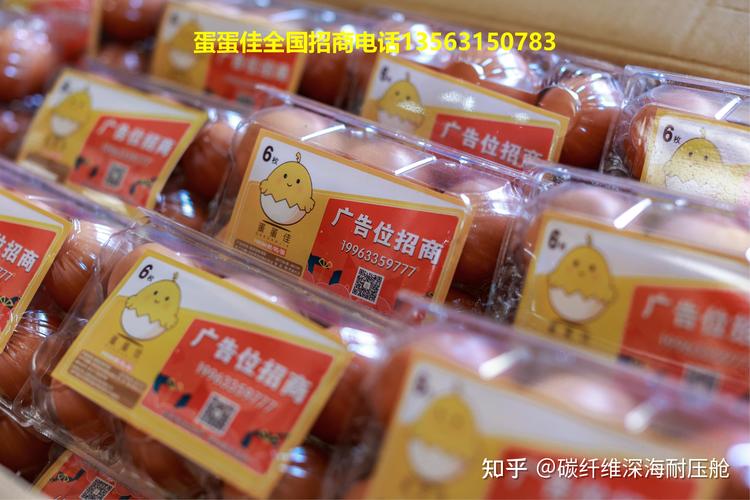 蛋蛋佳赚钱
