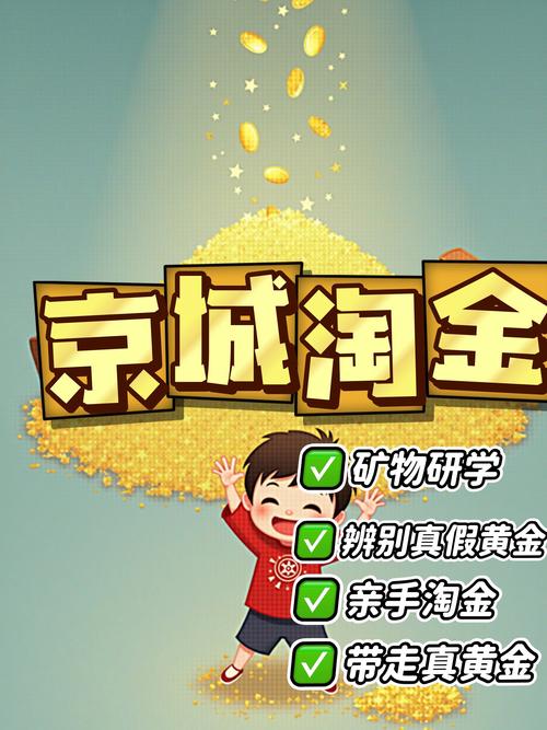 淘金阁短视频