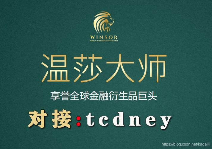 温莎大师项目官网 温莎大师项目官网