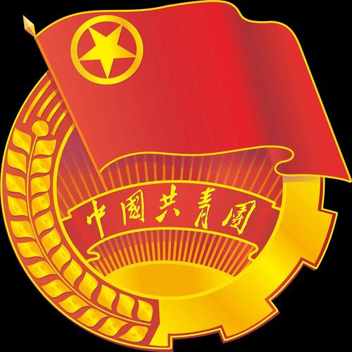 共青团团员11月 共青团团员11月