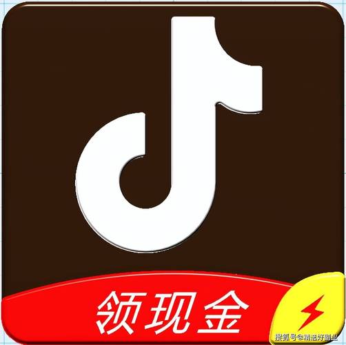 抖客云赚钱版