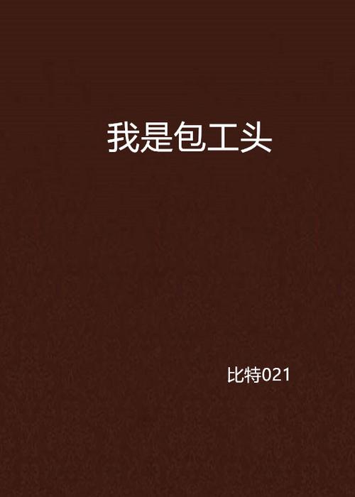 我是包工头版本5.0