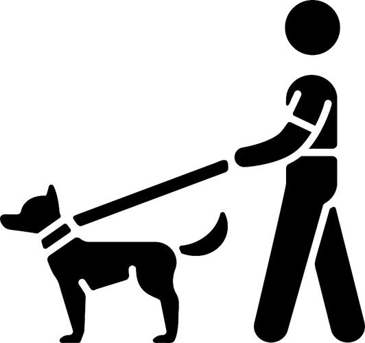 一起遛狗遛狗打卡 一起遛狗遛狗打卡