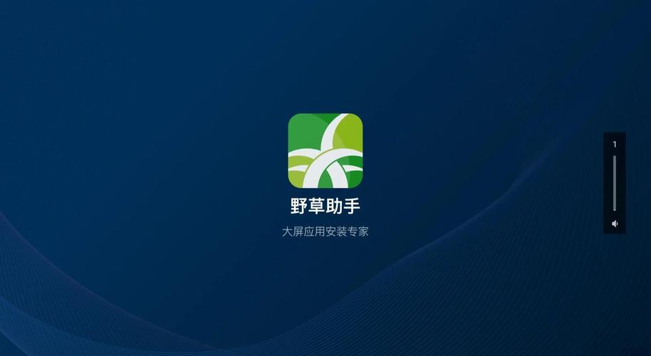 野草助手TV版最新版2025
