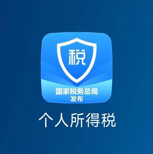 个人所得税申报系统