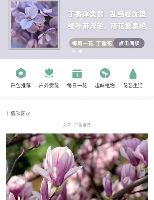 花色app