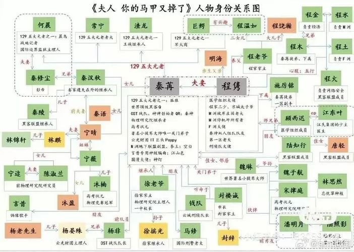夫人你马甲又掉了人物关系图